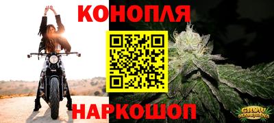 сатива Гусев