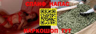 сатива Гусев