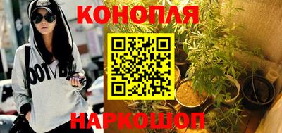 сатива Гусев