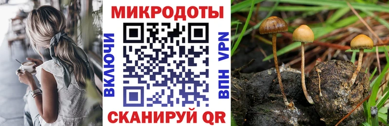 где купить наркоту  Коркино  Галлюциногенные грибы Magic Shrooms 