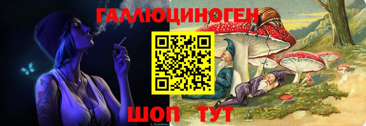 Псилоцибиновые грибы Psilocybine cubensis Коркино