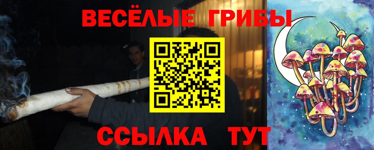 Галлюциногенные грибы Cubensis Коркино