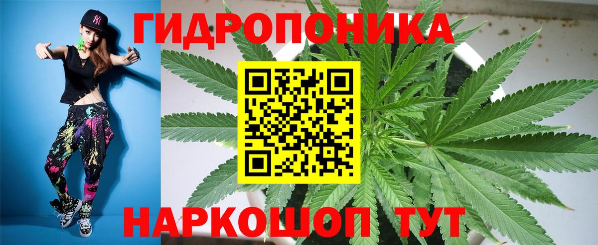 Канабис конопля Коркино
